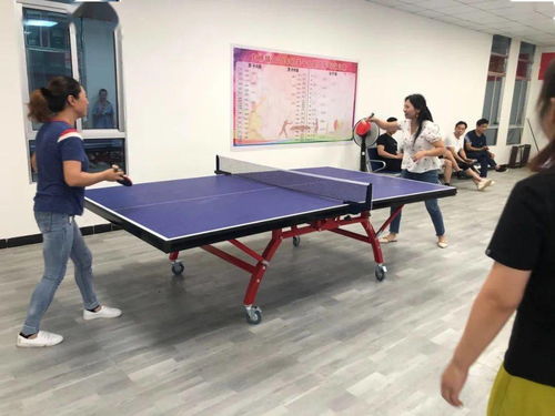 新城乒乓球俱乐部