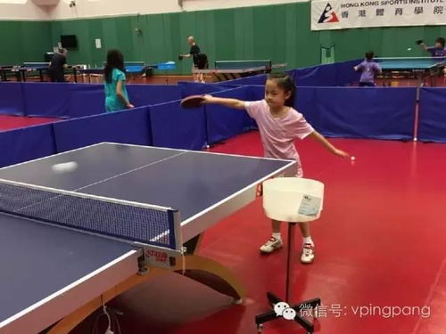 教练寄语乒乓球