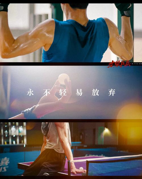 观月初打乒乓球是在新网王第几集