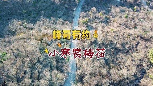 正中高尔夫球会会籍价格