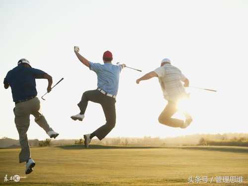 高尔夫球进洞叫什么