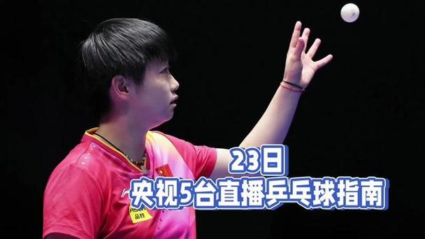 乒乓球北京队主力