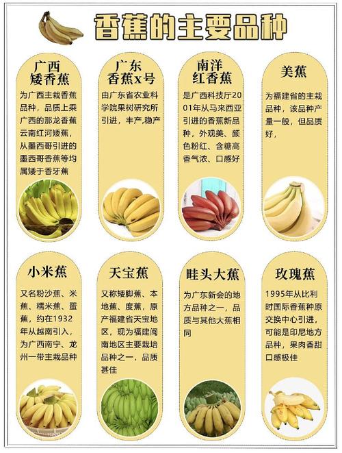 乒乓球香蕉球原理