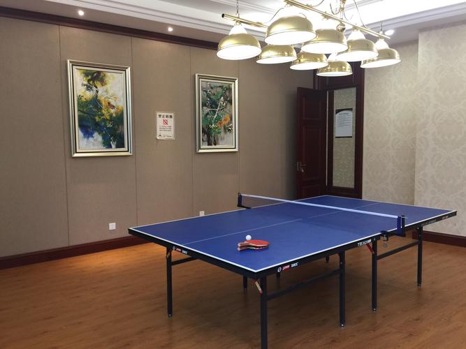 乒乓球馆室内墙面装饰图片