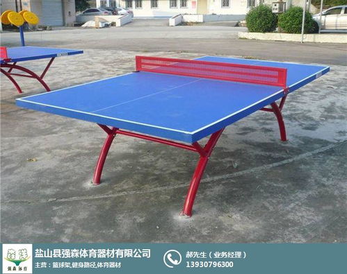 室外乒乓球活动图片