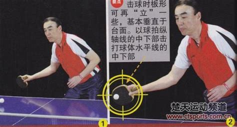 乒乓球弧圈球技术有哪几种