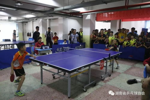 双鱼牌乒乓球价格表