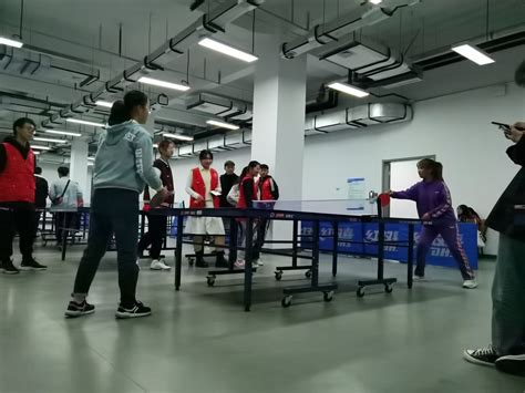 乒乓球上高楼儿歌
