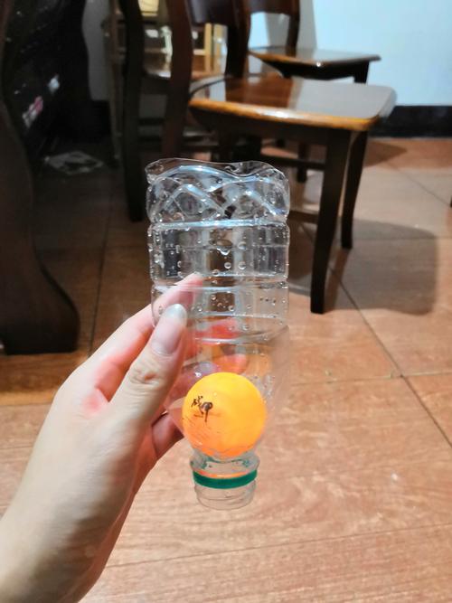 小乒乓球花