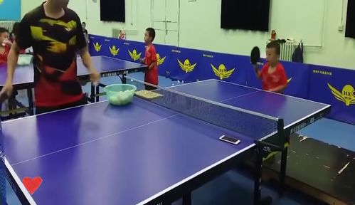 杭州滨江乒乓球教练