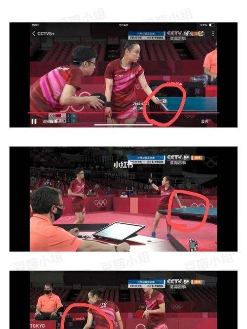 日本乒乓球锦标赛决赛