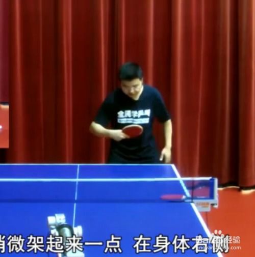 乒乓球横拍教学合集