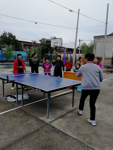 小学乒乓球特色学校简介