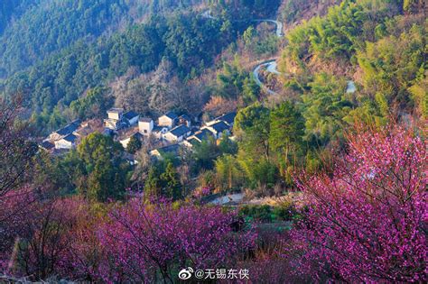 高尔夫女星是谁