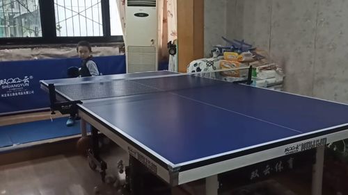 乒乓球发球机京东