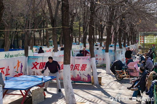 汕尾乒乓球比赛