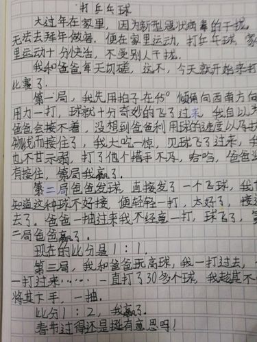 乒乓球日记300字左右