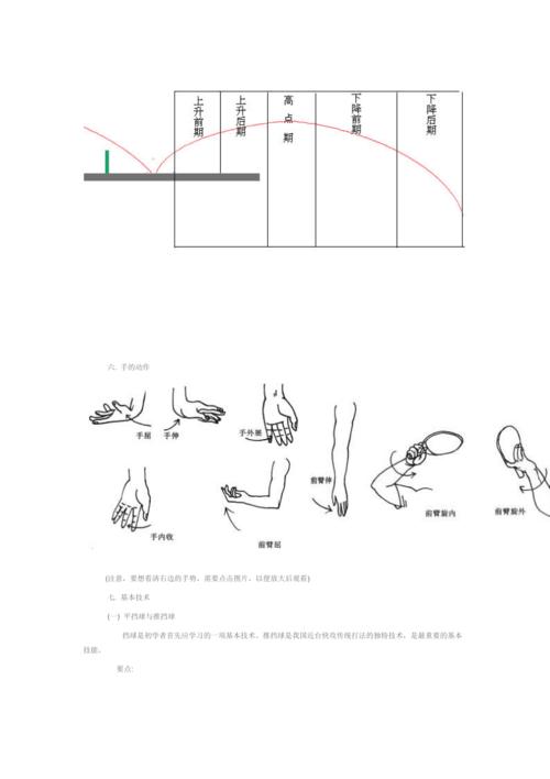乒乓球正手拉球教学视频