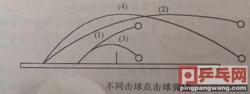 乒乓球直拍cs