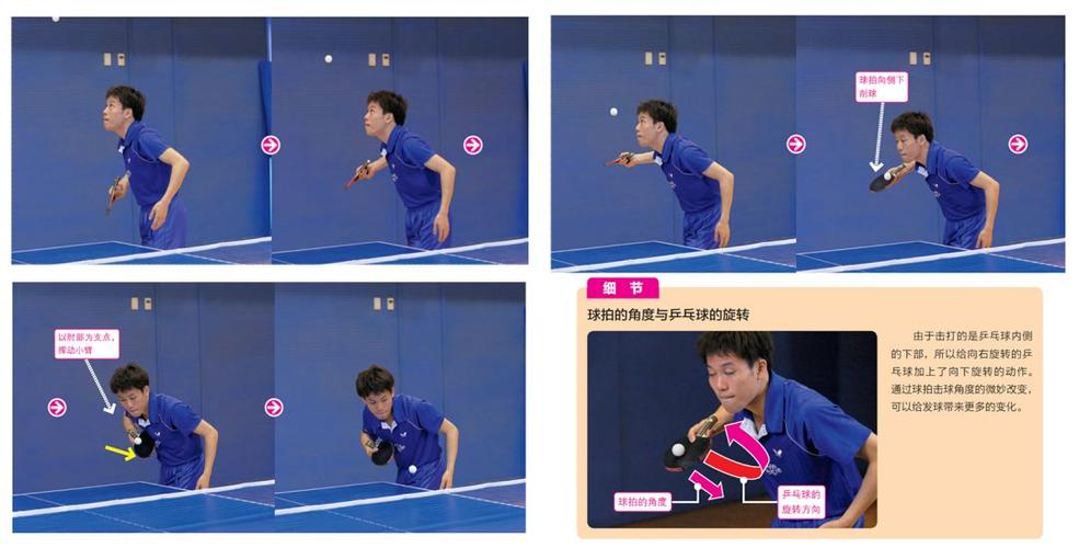 乒乓球正手攻球基本站位