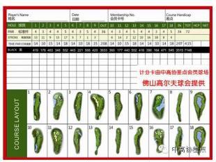 高尔夫球费水