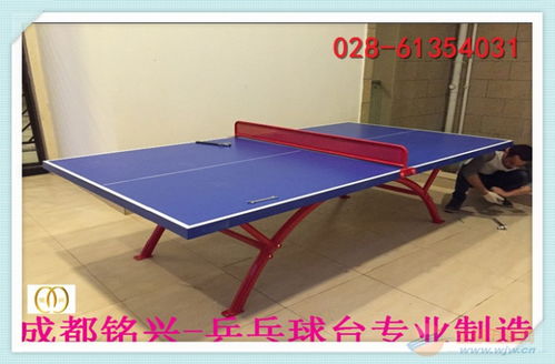 乒乓球桌家用哪个牌子好