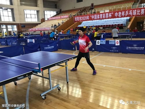 珠海少儿乒乓球培训班