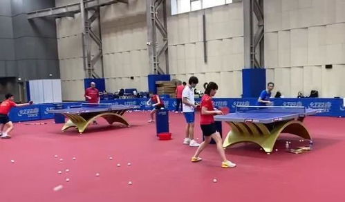 乒乓球桌