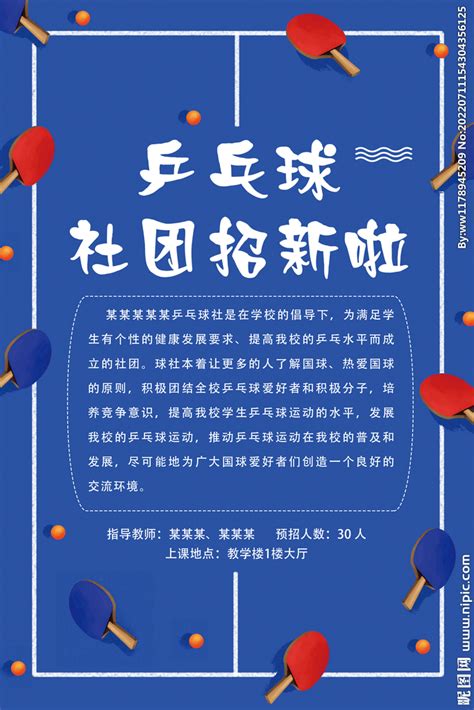 乒乓球协会领导成员分工