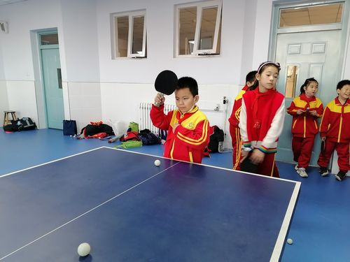 星湖小学亮娃