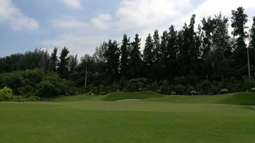 沙河高尔夫球会官网