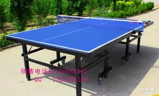 邹阳乒乓球教学