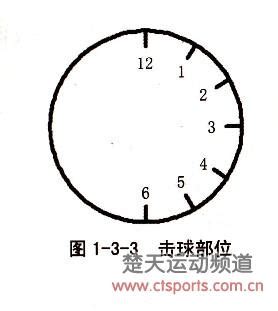 乒乓球图标象征