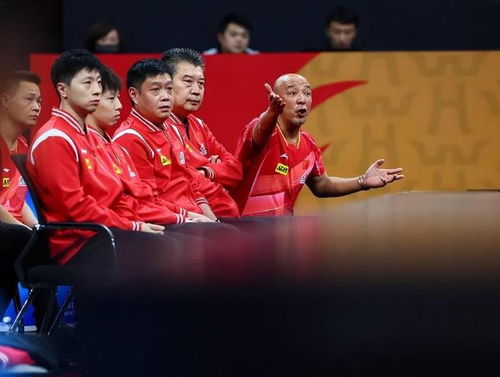 乒乓球裁判不会乒乓球视频