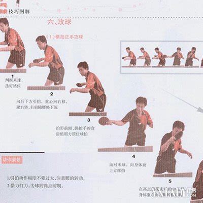 乒乓球入门训练方法