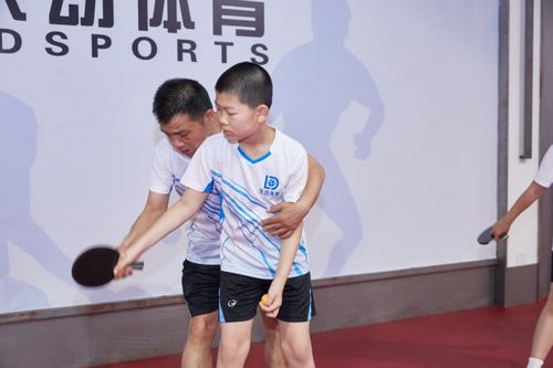 乒乓球衣服品牌哪个好