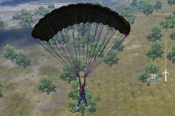空降奇兵是成语吗