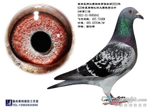 重庆乒乓球俱乐部