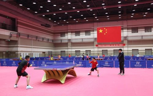 南海新区乒乓球训练基电话