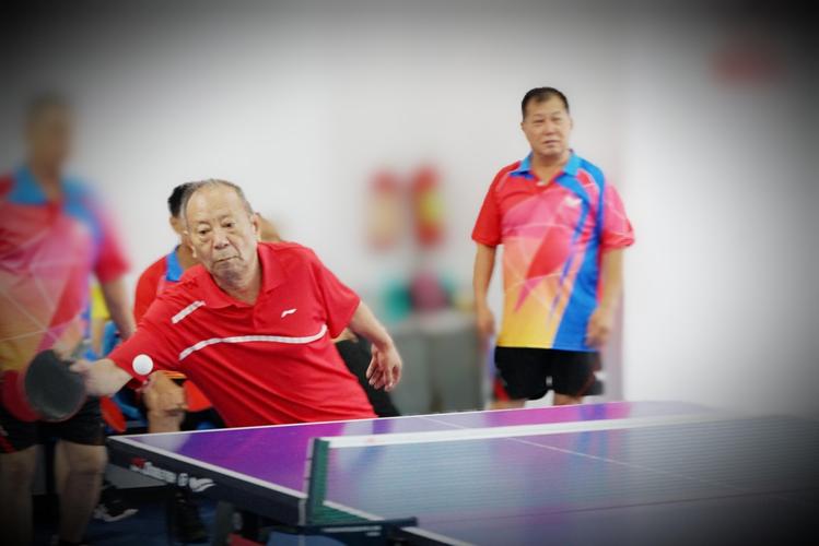 老人乒乓球比赛下载什么网参加