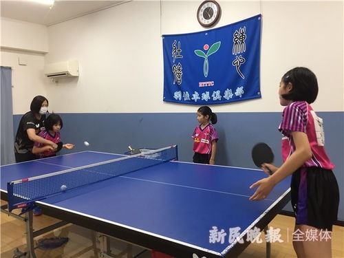 乒乓球找教练需要多少钱