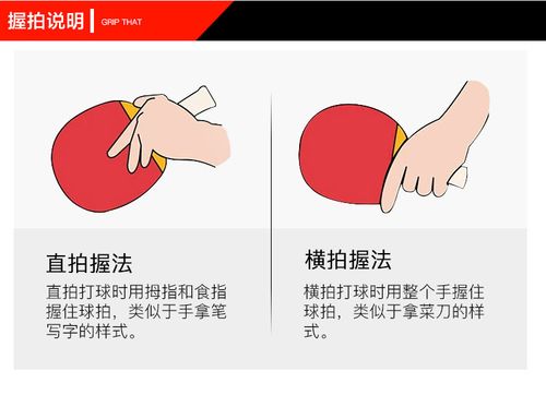 乒乓球教程入门教学