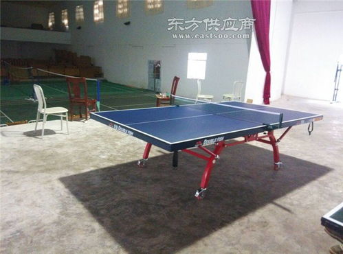儿童玩具乒乓球训练器