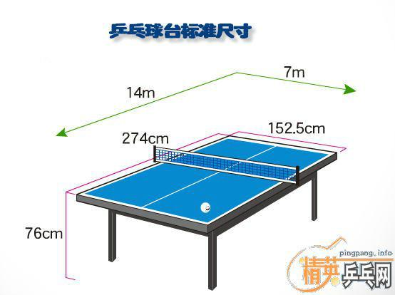 新手乒乓球教学视频教程