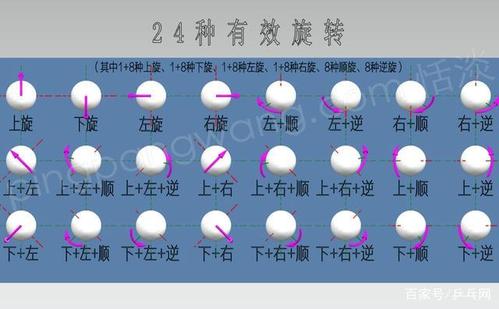 乒乓球基本初学打法