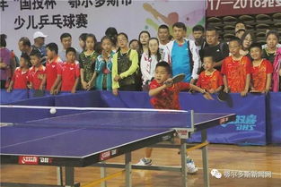 乒乓球横拍反手教学视频慢动作