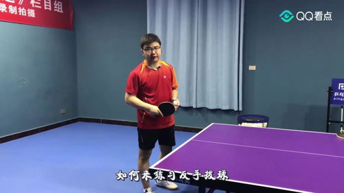 乒乓球实用教程