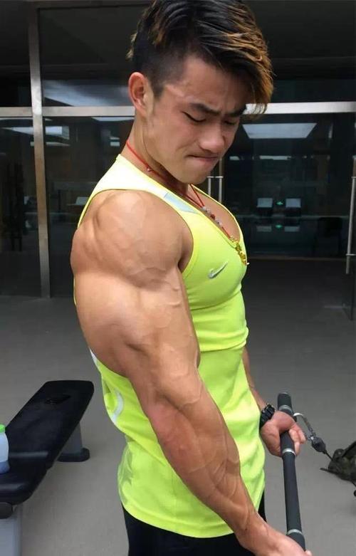 健美和健体和古典三者区别