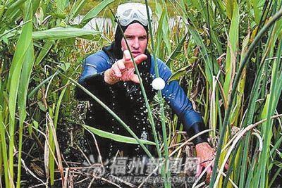 美国打高尔夫要多少钱