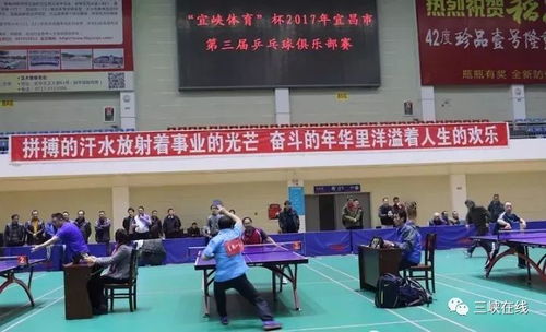 宜昌乒乓球培训哪里好